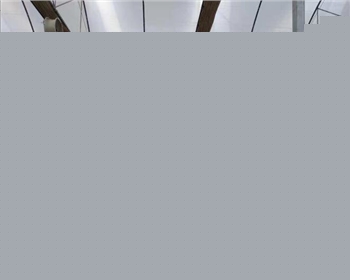 怎樣設(shè)計(jì)參數(shù)才能讓溫室大棚不怕大雪大風(fēng)呢